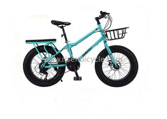 China Cheap Snow Beach Bike 20 inch Fat Tire Snow Bicycle supplier