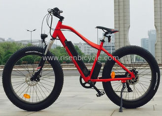 China 350w/36V Electric Bike Ebike Mountain Bike Fat Bike Snow Bike Rear hub motor supplier