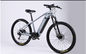 250W Electric Bike with Multi-Function Display and Smart Features Electric Mountain Bicycles supplier