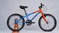 AL6061 Lightweight 16er 20er Kids Mountain Bicycle with V Brake supplier