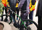 250w Mid-Drive Electric Bike, 350w Mountain Bike Emtb Hardtail Ebike supplier