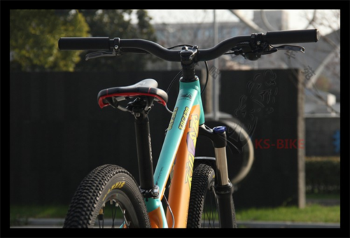 Muscle Type Slope/Dirt Jump MTB frame SPF 26"/27.5" Hard Tail Aluminum Alloy AM Frame QR/Thru-axle Dropout Converted 6